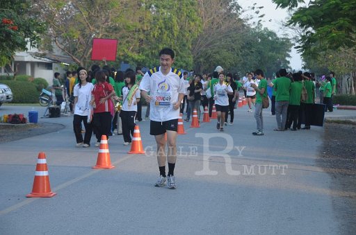 DSC_0275 Copy.JPG